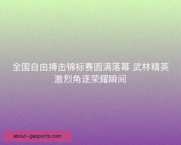 全国自由搏击锦标赛圆满落幕 武林精英激烈角逐荣耀瞬间